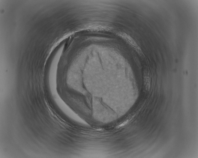 X0000081610488200702121618