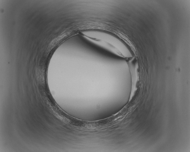 X0000081610489200702121618