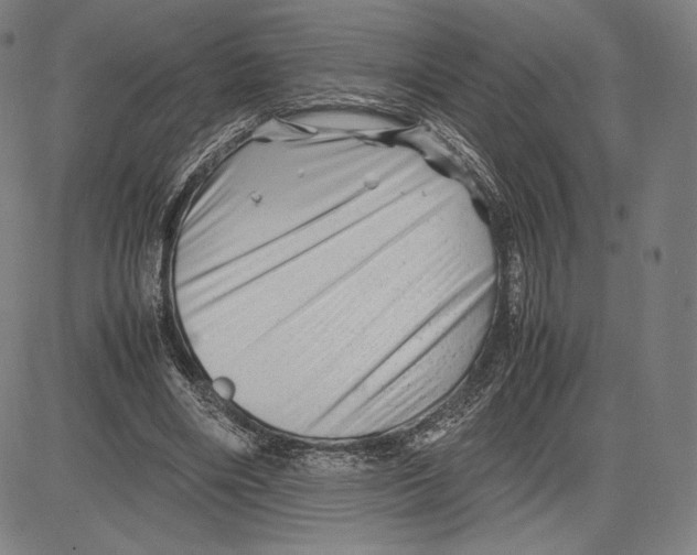 X0000081610490200702121618