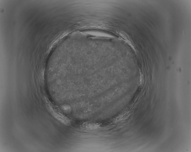 X0000081610491200702121618