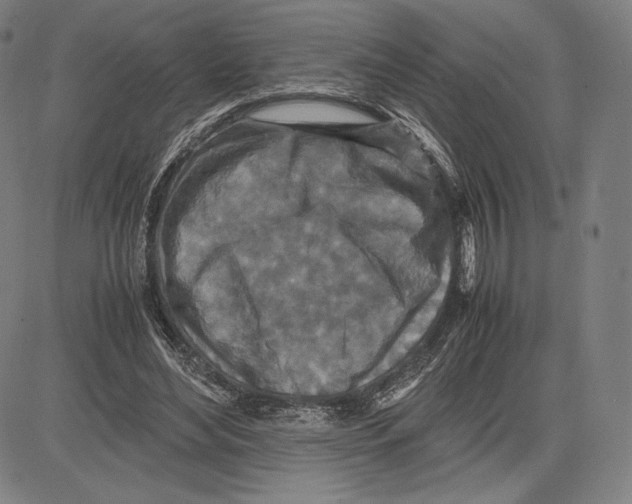 X0000081610492200702121618