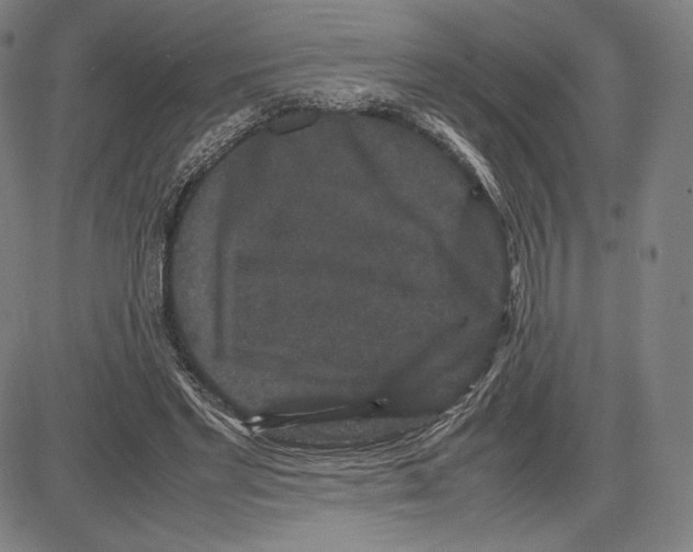 X0000081610493200702121618