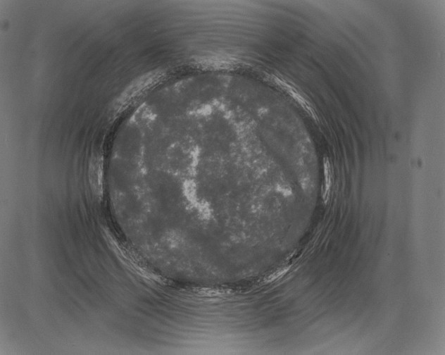 X0000081610494200702121618