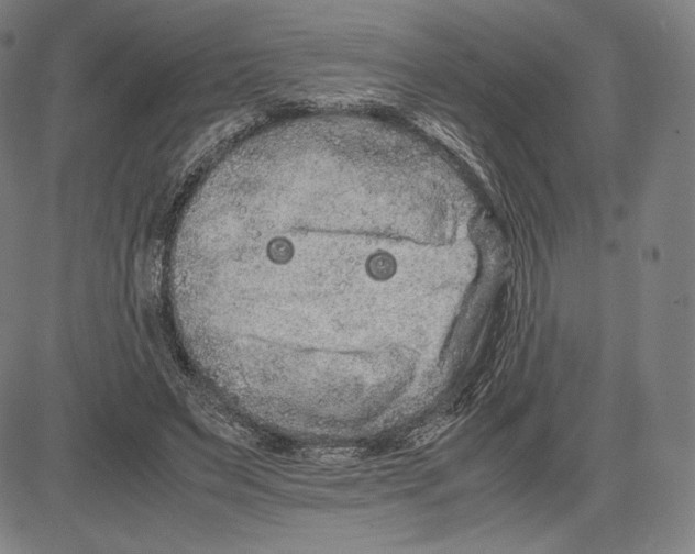 X0000081610495200702121618