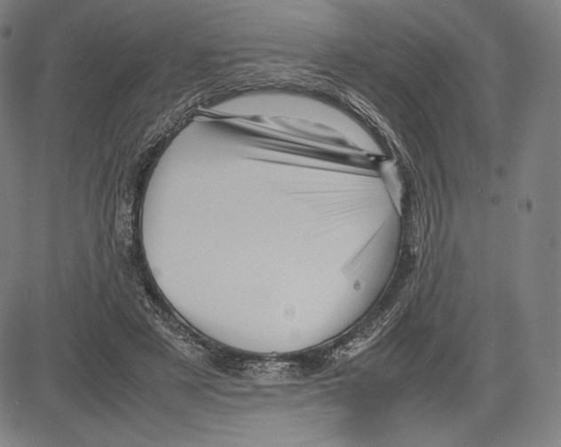 X0000081610497200702121618