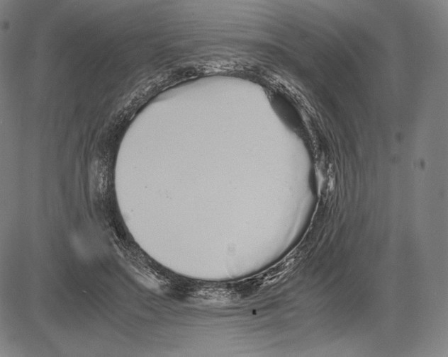 X0000081610499200702121618