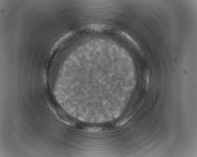 X0000081610500200702121618