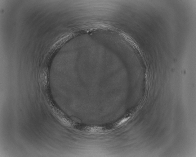 X0000081610501200702121618