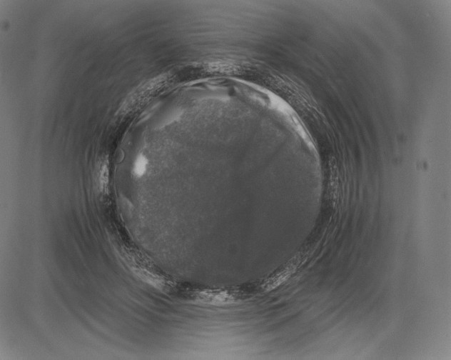 X0000081610502200702121618