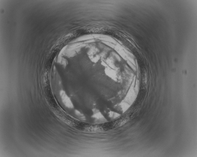 X0000081610503200702121618