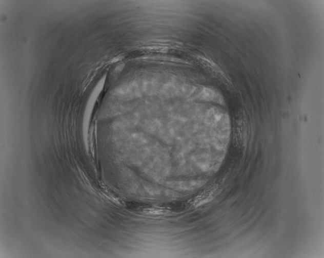 X0000081610504200702121618