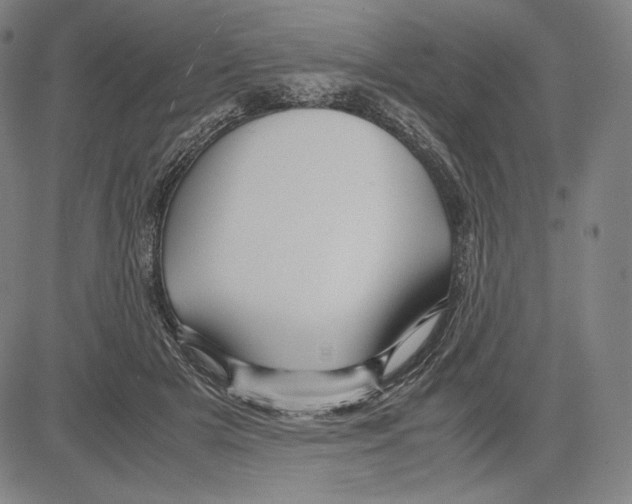 X0000081610505200702121618