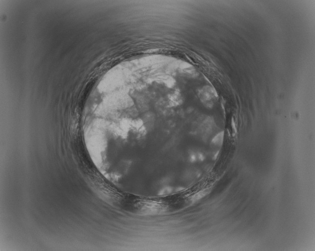 X0000081610507200702121618