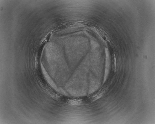 X0000081610508200702121618