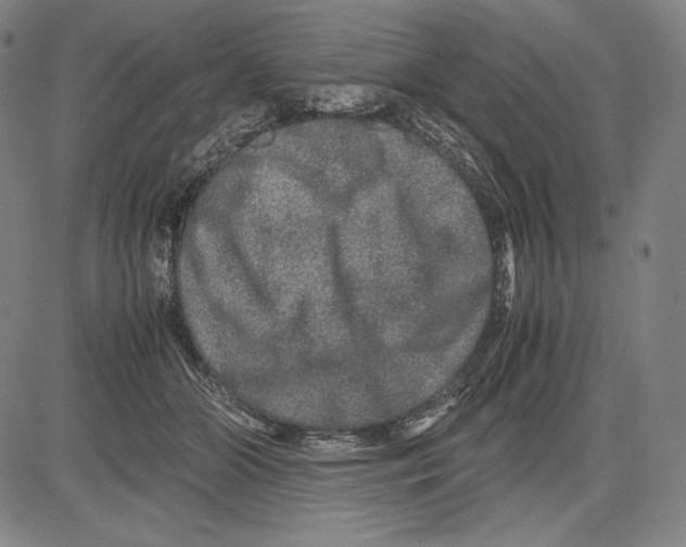 X0000081610510200702121618