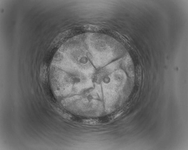 X0000081610511200702121618