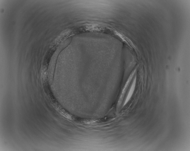 X0000081610513200702121618