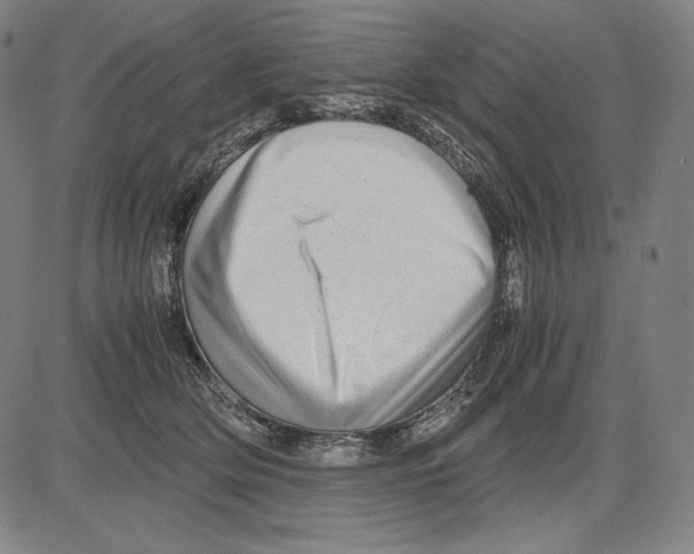 X0000081610514200702121618