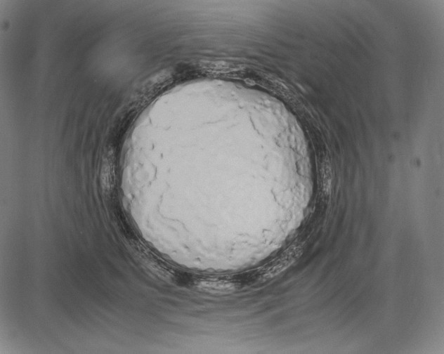 X0000081610515200702121618