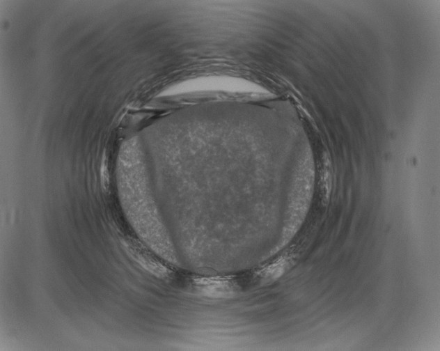 X0000081610516200702121618