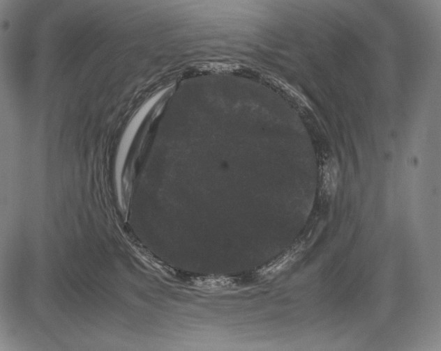 X0000081610517200702121618