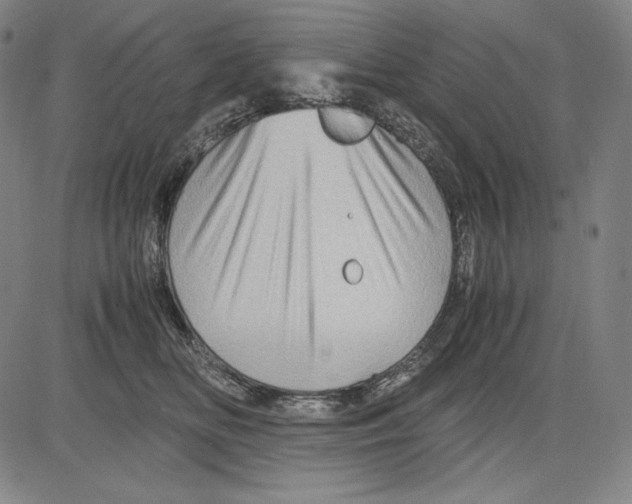 X0000081610518200702121618