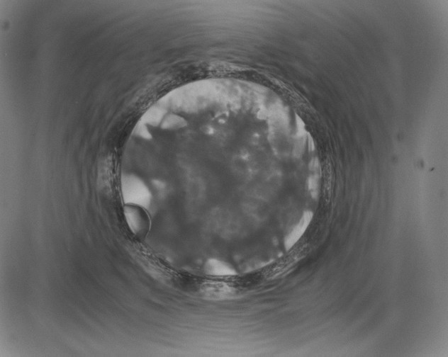 X0000081610519200702121618