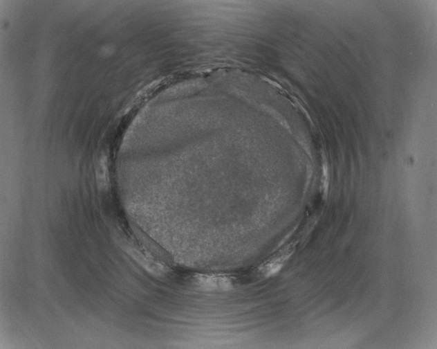 X0000081610520200702121618