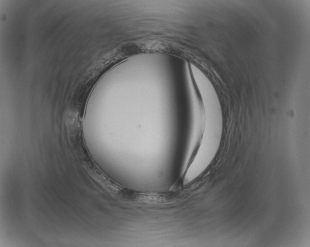 X0000081610521200702121618