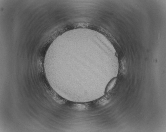 X0000081610522200702121618