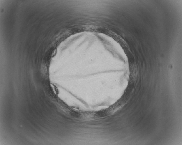 X0000081610523200702121618