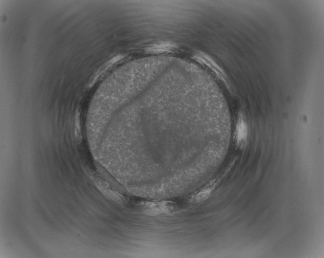 X0000081610524200702121618