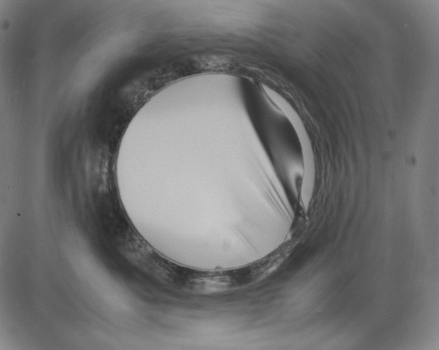 X0000081610525200702121618