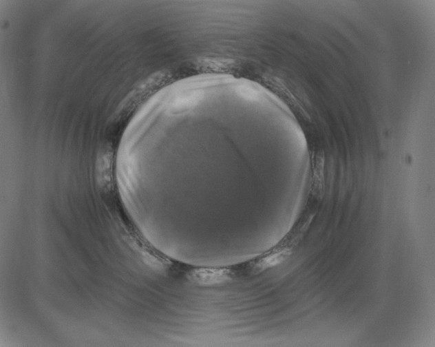 X0000081610526200702121618