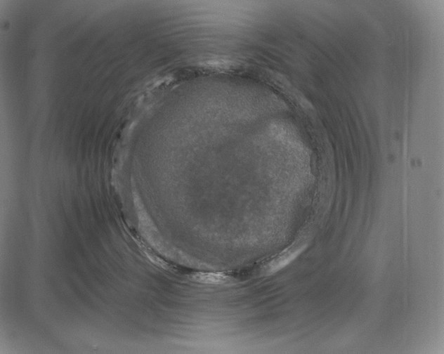 X0000081610528200702121618