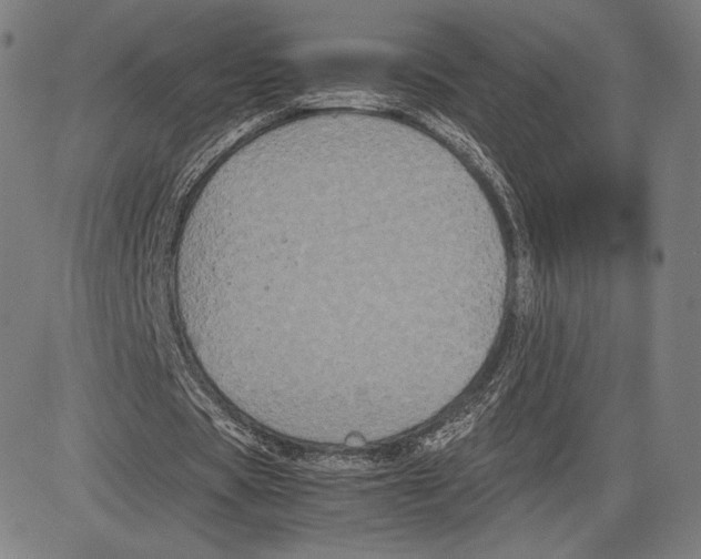 X0000081610529200702121617