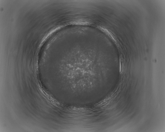 X0000081610531200702121617