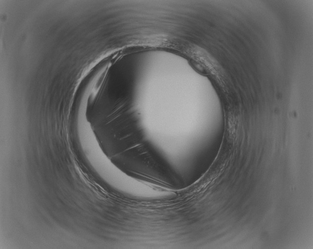 X0000081610532200702121617