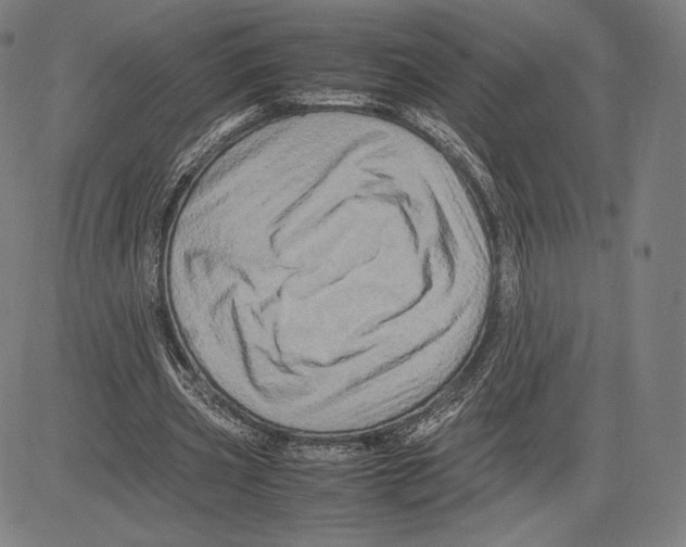 X0000081610533200702121617