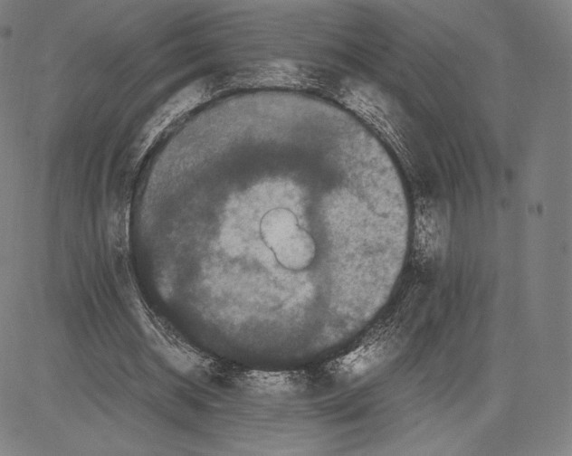 X0000081610534200702121617