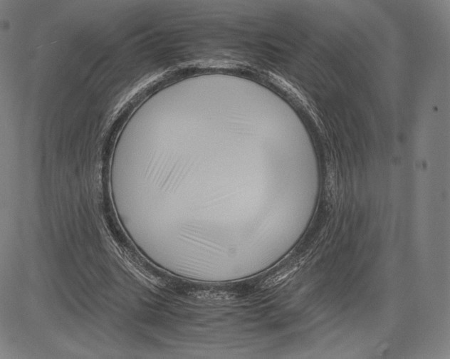 X0000081610535200702121617