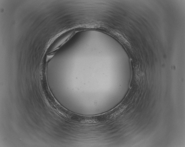 X0000081610536200702121617