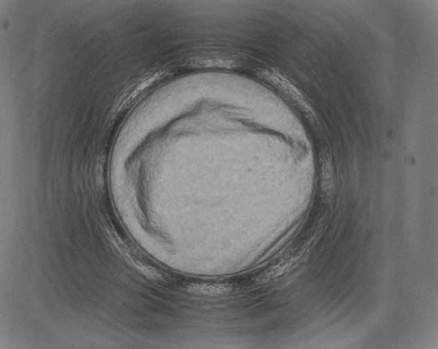 X0000081610537200702121617