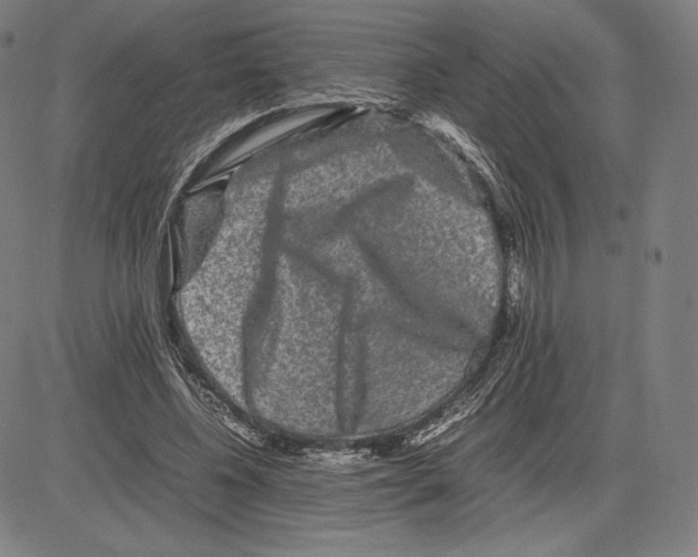 X0000081610540200702121617