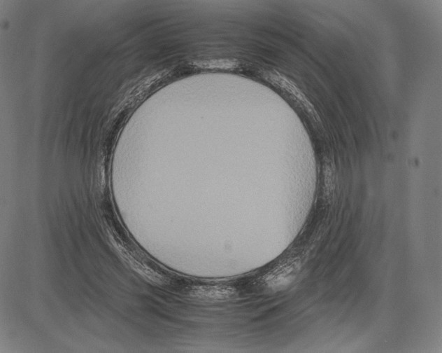 X0000081610541200702121617