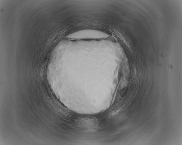 X0000081610545200702121617