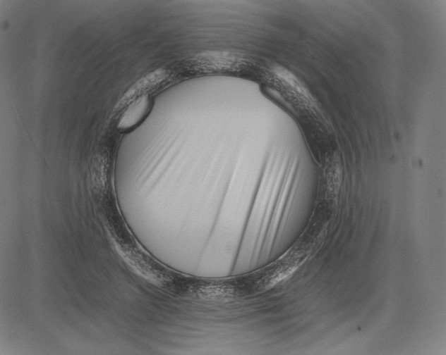 X0000081610546200702121617