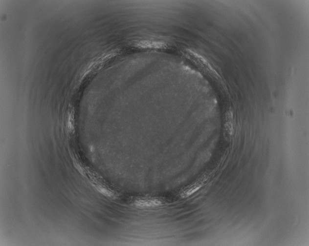 X0000081610547200702121617