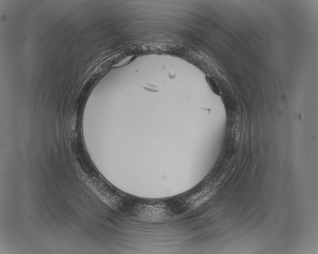 X0000081610548200702121617