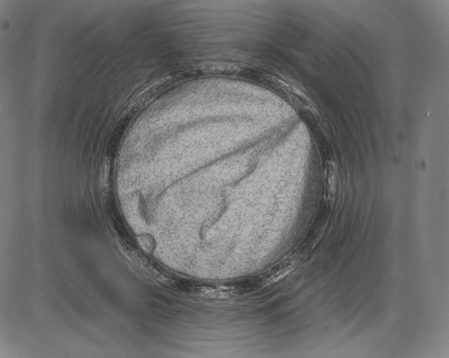 X0000081610550200702121617